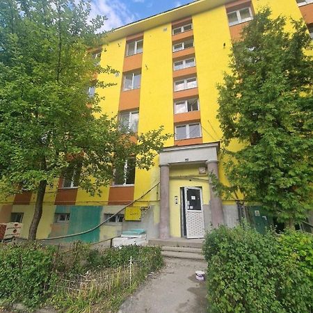 Mural Art Apartament Petroşani Exteriér fotografie